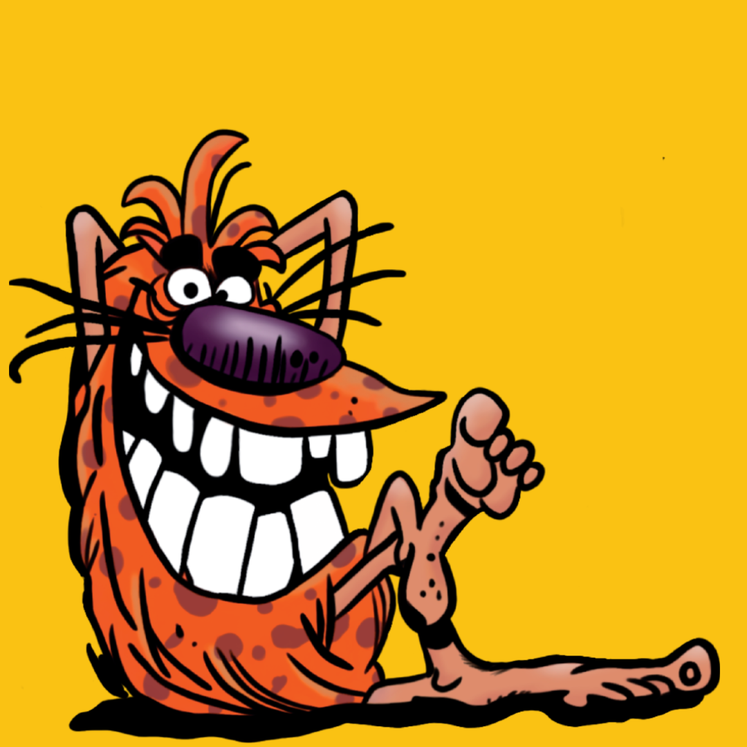 About Us – The World Pog Federation Official Store